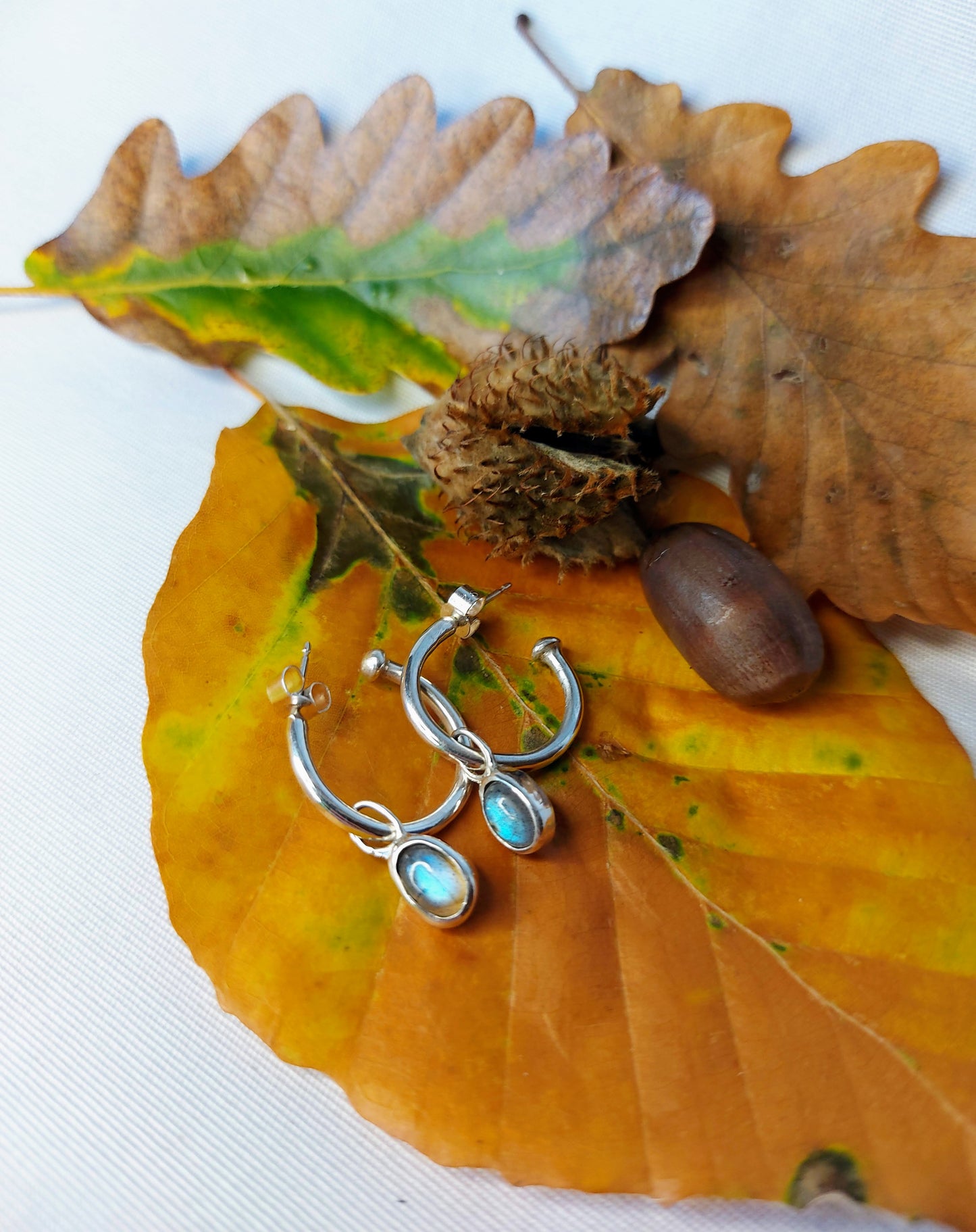 Boucles d'oreilles Hoops - avec ou sans charms