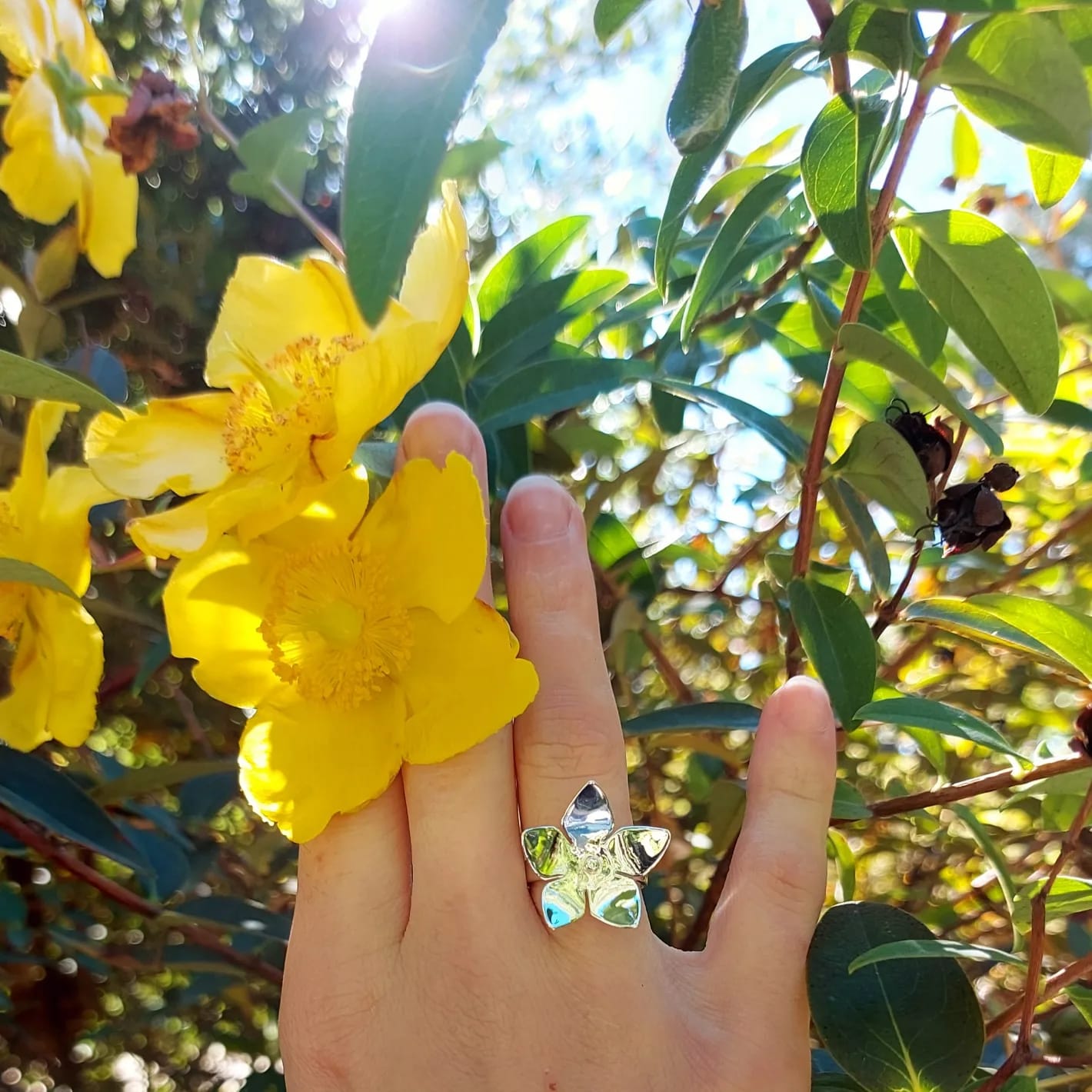 Bague Caltha Palustris